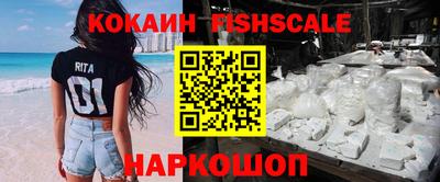 гидра Вышний Волочёк