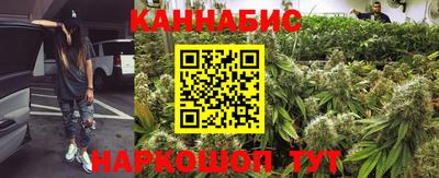 гидра Вышний Волочёк