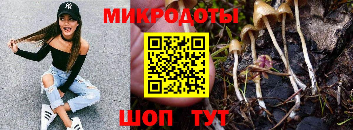 Галлюциногенные грибы мухоморы Ачхой-Мартан